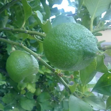 דירה 5 Posti Con Cucina E Parcheggio Privato Gratuito Candela