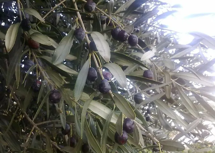 5 Posti Con Cucina E Parcheggio Privato Gratuito דירה Candela