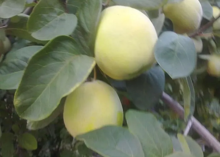 5 Posti Con Cucina E Parcheggio Privato Gratuito