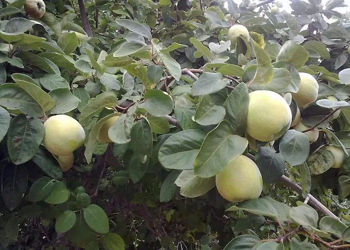 5 Posti Con Cucina E Parcheggio Privato Gratuito דירה *