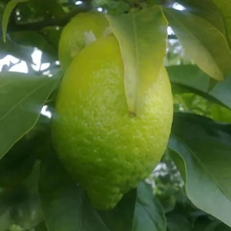 5 Posti Con Cucina E Parcheggio Privato Gratuito * Candela