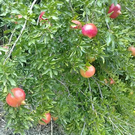 5 Posti Con Cucina E Parcheggio Privato Gratuito *