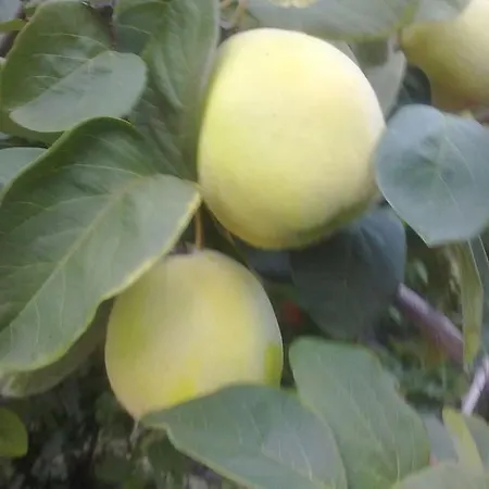 5 Posti Con Cucina E Parcheggio Privato Gratuito