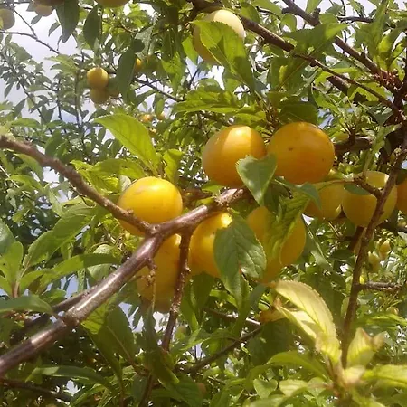 5 Posti Con Cucina E Parcheggio Privato Gratuito *