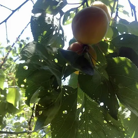 5 Posti Con Cucina E Parcheggio Privato Gratuito * Candela