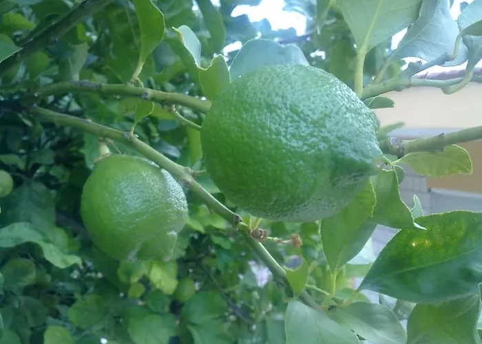 Lägenhet 5 Posti Con Cucina E Parcheggio Privato Gratuito Candela