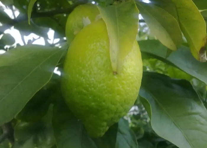 5 Posti Con Cucina E Parcheggio Privato Gratuito * Candela