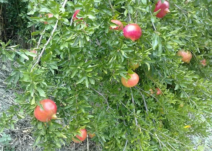 5 Posti Con Cucina E Parcheggio Privato Gratuito *