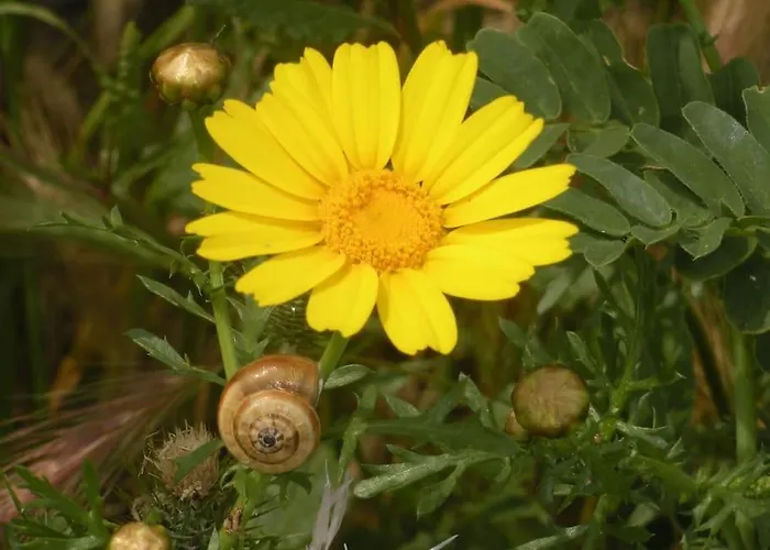 5 Posti Con Cucina E Parcheggio Privato Gratuito * Candela