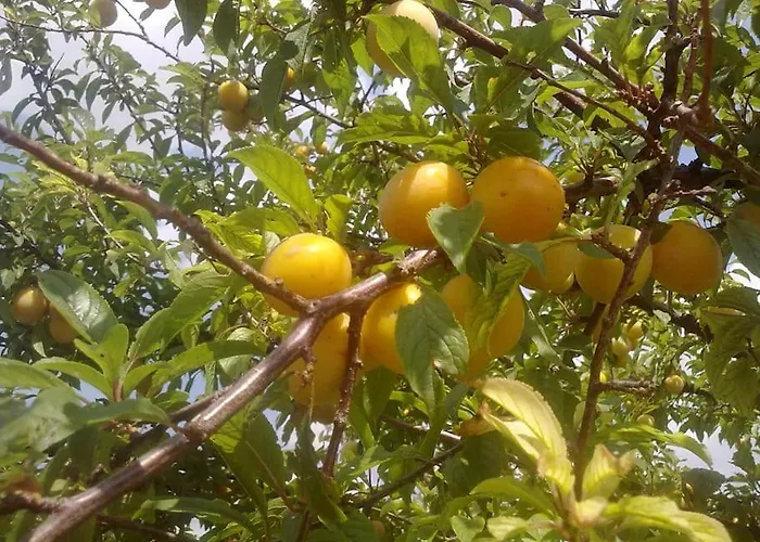 5 Posti Con Cucina E Parcheggio Privato Gratuito *