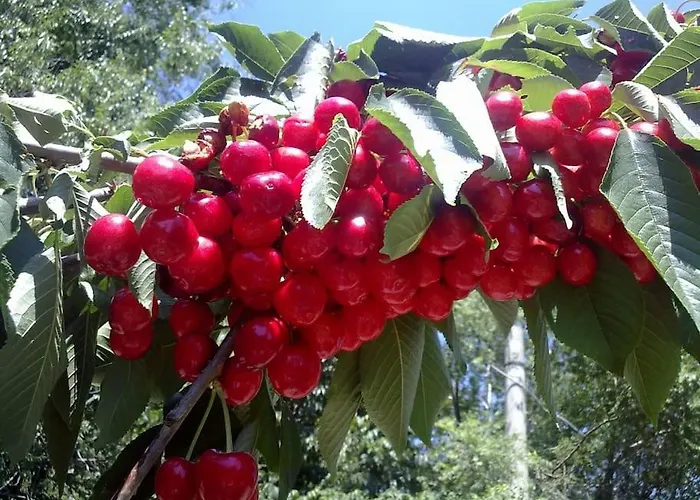 Lägenhet 5 Posti Con Cucina E Parcheggio Privato Gratuito Candela