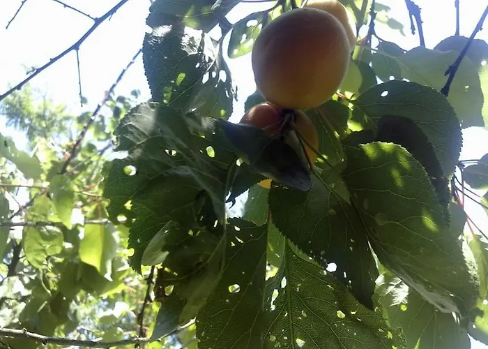 5 Posti Con Cucina E Parcheggio Privato Gratuito * Candela